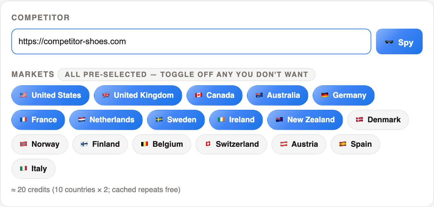 One URL. Every market. Their whole PPC playbook.